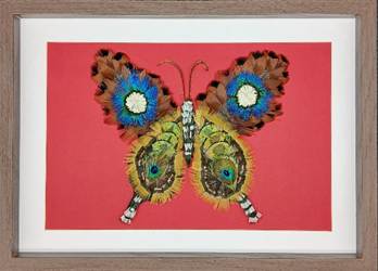 Boucle d'oreilles en plume<br />
